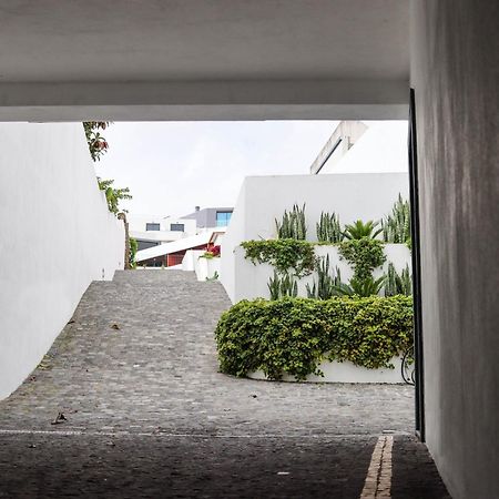 Sao Miguel Charming House By Lfc Apts Понта-Делгада Экстерьер фото